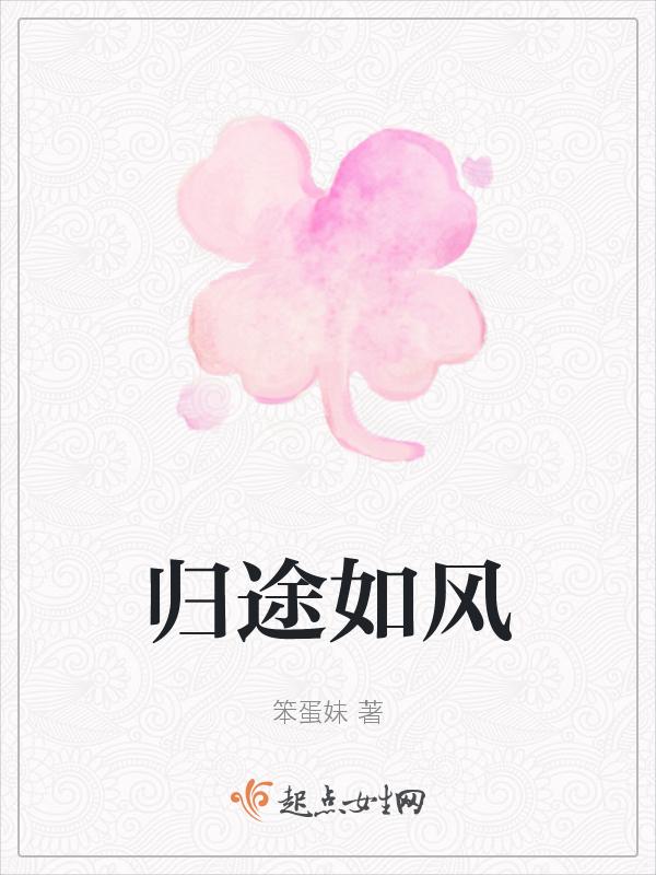 归途如风 宋小睿