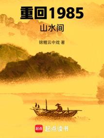 重返1985无弹窗免费阅读