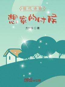 歌曲想家的时候的歌词