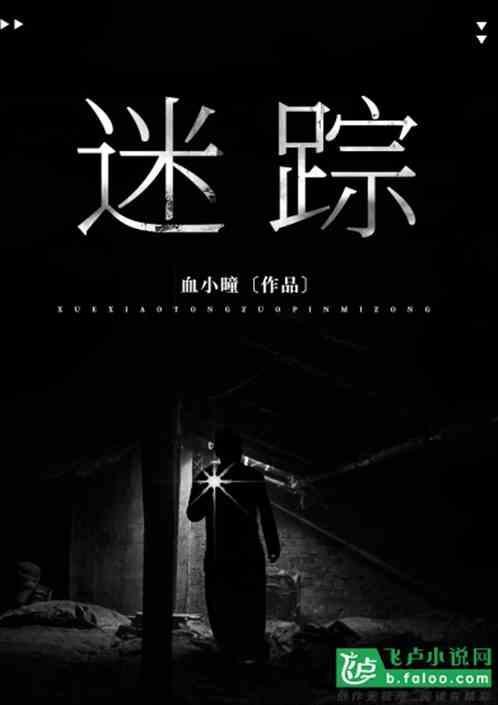迷踪第九鹰团