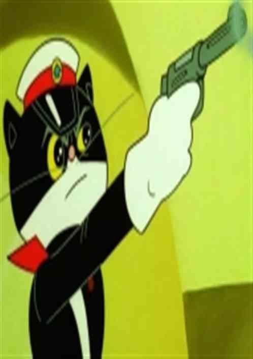 从黑猫开始进化