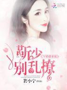 军婚甜蜜蜜靳少别乱撩