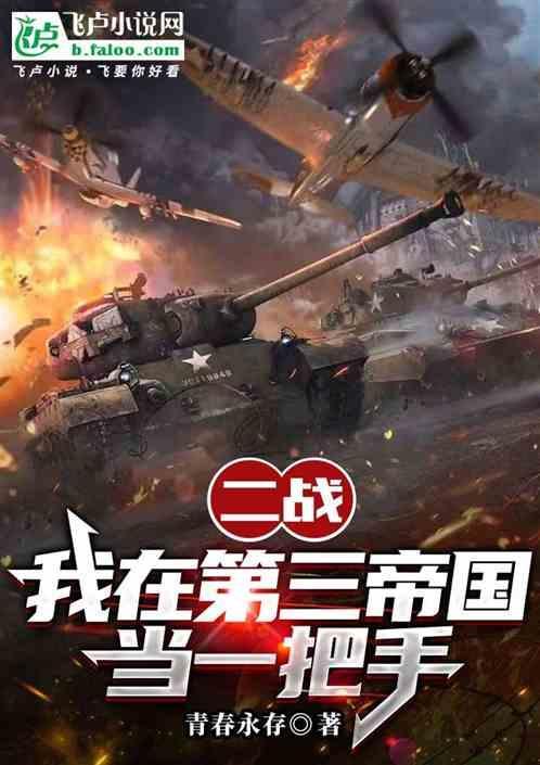 二战我在第三帝国当一把手