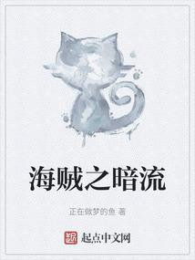 海贼之暗皇盗版