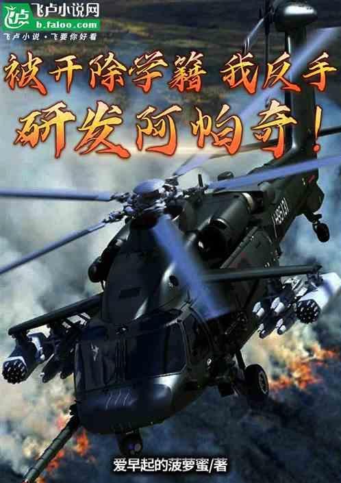 阿帕奇的下一代