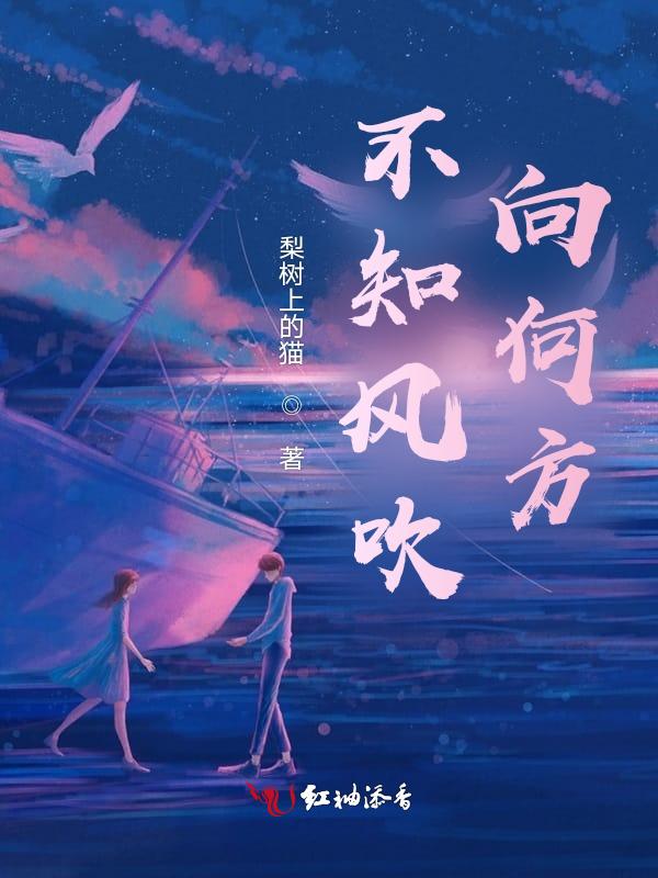 不知道风是在哪一个方向吹的诗歌艺术特点