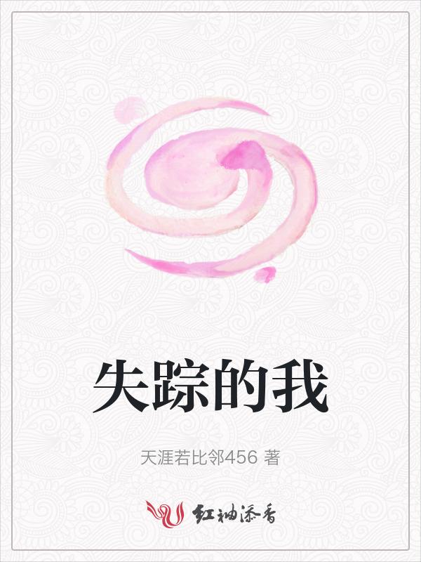 我的失踪2009