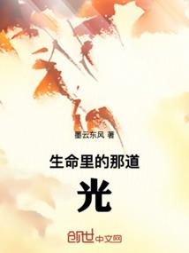 生命里的那道光作文