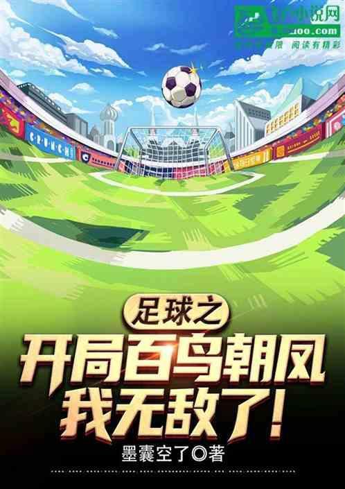 足球之无敌前锋全文免费阅读