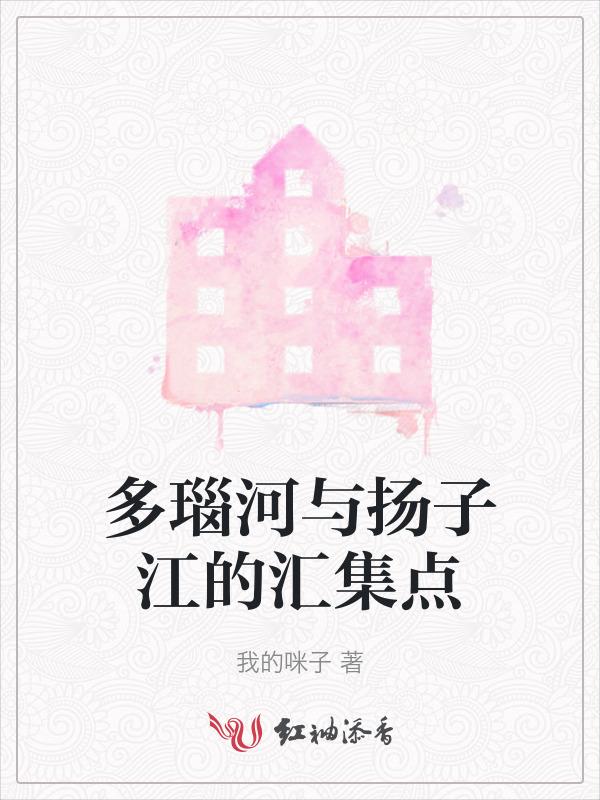 多瑙河上的桥