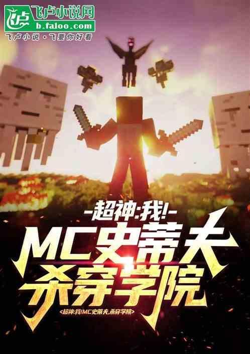我的世界史蒂夫对战him视频