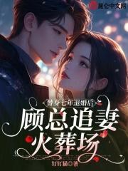 顾少替身甜妻
