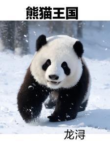 熊猫王国之巅旅游攻略