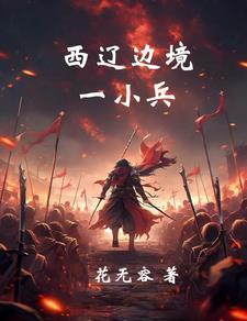 西辽时期地图