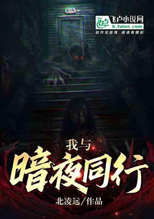 我与暗夜同行
