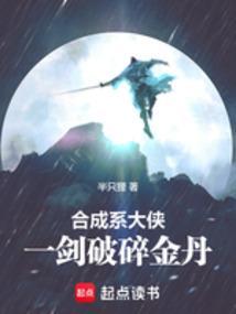 合成系大侠，一剑破碎金丹