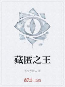 藏匿之王
