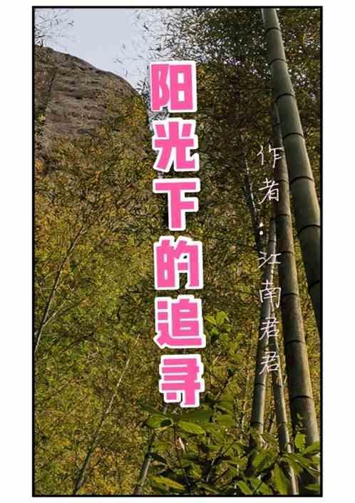 阳光下的追寻